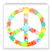 Peacer - Establish the Peace