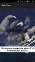 Sloth Facts capture d'écran 1