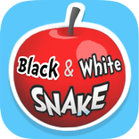 Black & White Snake