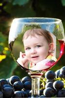 Wine Glass Photo Frame screenshot 1