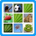 Matching Game biểu tượng