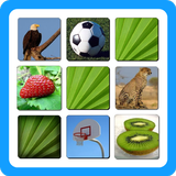 Matching Game biểu tượng