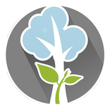 MEU POTENCIAL - Mude Sua Vida