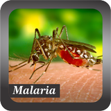 Recognize Malaria icono