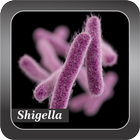 Recognize Shigella アイコン