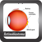 Recognize Retinoblastoma Disease-icoon