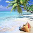 Free Relaxing Music 2016