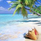 Free Relaxing Music 2016 icon