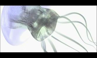 meduse screenshot 1