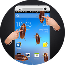 Cockroach in Phone Prank APK
