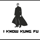 Matrix - "I know Kung-Fu" aplikacja