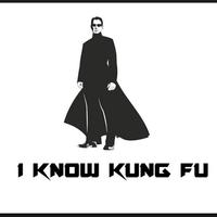 Matrix - "I know Kung-Fu" Affiche