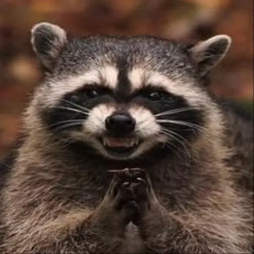 https://image.winudf.com/v2/image/bWVnYS5wYW5kYS5hMjAuYTEwLmEyMDE3LmExNy5hMzIuYTMxLmExODVfc2NyZWVuXzBfMTUwODYyMDkzOF8wMzg/screen-0.jpg?fakeurl=1&type=.webp