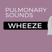 Expiratory wheeze (lungs) Affiche