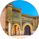 APK Meknes - Wiki