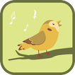 Nightingale Sounds & Ringtones