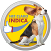 NET CLARO - Indica APK
