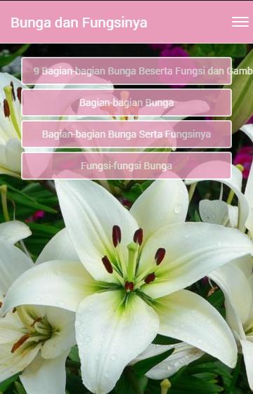 72+ Gambar Bunga Dan Fungsinya Paling Bagus 72+ Gambar Bunga Dan Fungsinya Paling Bagus