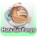 Mata dan Fungsi Mata APK