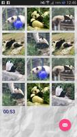 Panda - Memory Game الملصق