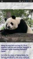 Panda - Memory Game تصوير الشاشة 3