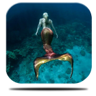 Mermaid Maritime Live icône