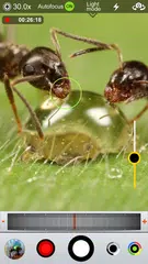 Binoculars Macro Shooting 30X APK download