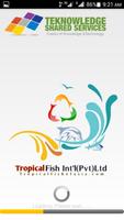 Marine Fish Collection اسکرین شاٹ 2