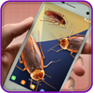 Cockroach On Screen Prank