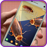 Cockroach On Screen icon