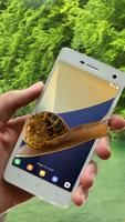 Snail On Screen poster