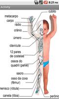 El cuerpo humano Affiche