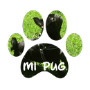 Mi PUG APK