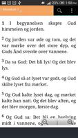 Det Norsk Bibelselskap screenshot 1