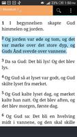 Det Norsk Bibelselskap скриншот 2