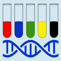 Microbial Identification