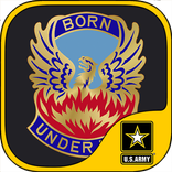128th Aviation BG Standards