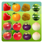 Fruit Shooter icon