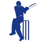 Polling Cricket icono