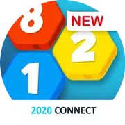 2020 Connect - Hexa Puzzle