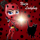 Super Miraculous ladybug Adventure APK