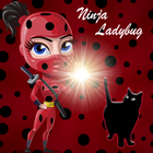 Super Miraculous ladybug Adventure ícone