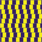 Optic Image Illusion icône
