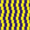 Optic Image Illusion APK