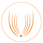 LWT-EagleBiz icône