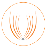 LWT-EagleBiz icône