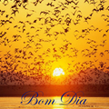 Bom dia