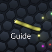 Guide for Slither.io