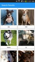 Adopt A Rescue Pet Adoption स्क्रीनशॉट 1