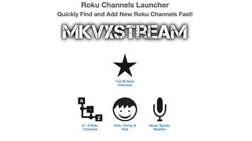Roku Channels Launcher syot layar 2